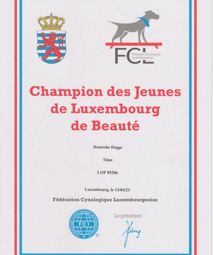 Champion Jeune Luxembourg 2023 Timo 