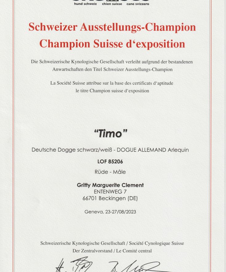 Schweizer Ausstellungs-Champion Timo